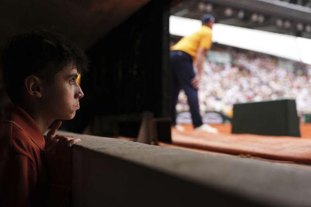 收获了更高 收获了更高